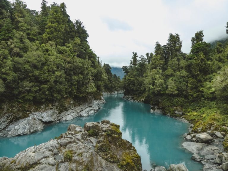 Best Time to Visit New Zealand