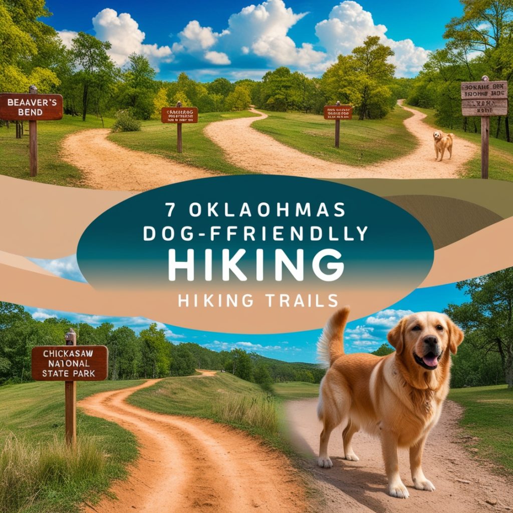 Dog-Friendly Hiking Trails in Oklahoma
